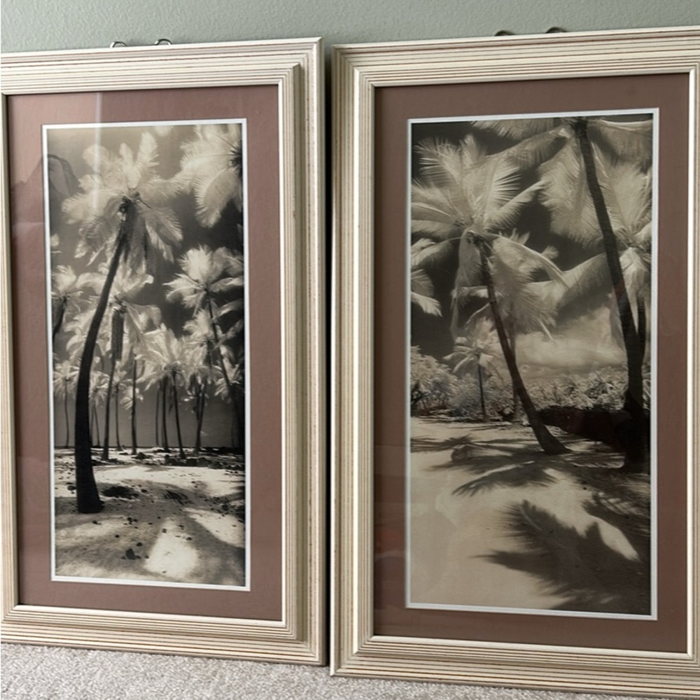 Tropical Palm Tree Framed Art Set